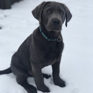 Meet your Posher, Bryan